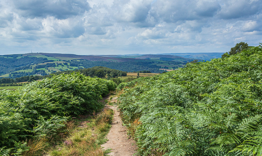Offerton Moor Offerton Moor
